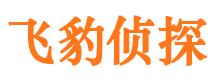 宽甸市调查公司